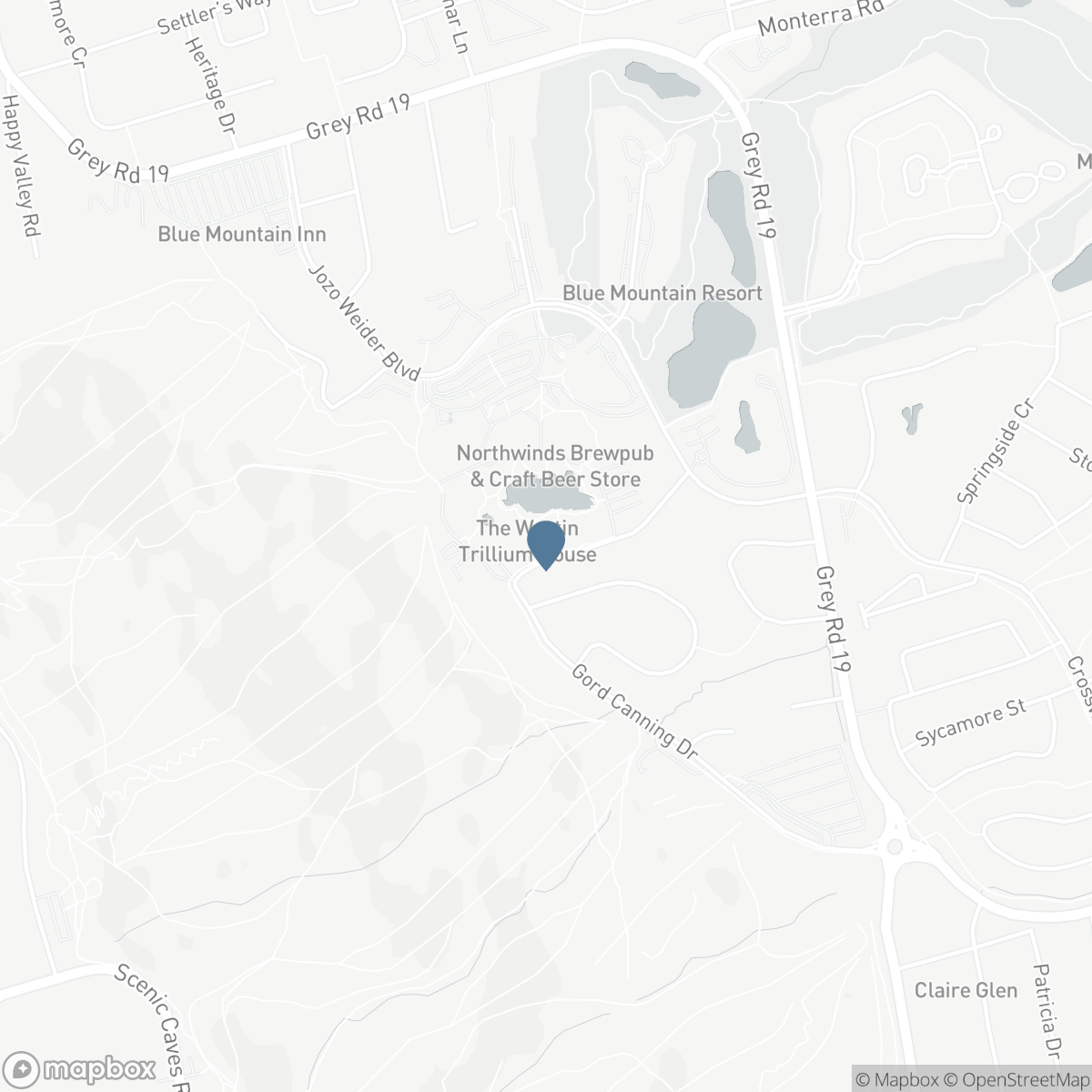 162 - 220 GORD CANNING DRIVE, The Blue Mountains, Ontario L9Y 0V2